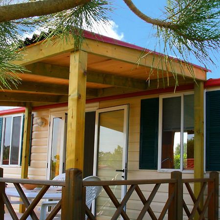 Camp Dole Zivogosce Hotel Подгора Екстериор снимка